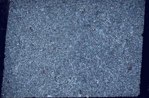 Cross Polarized, S61731