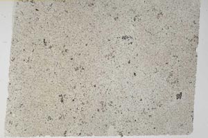 Plane Polarized, S61731