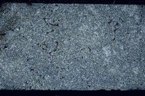 Cross Polarized, S61732