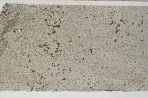 Plane Polarized, S61732