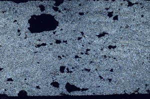 Cross Polarized, S61733