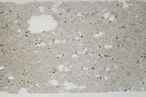 Plane Polarized, S61733