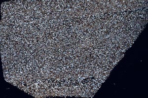 Cross Polarized, S61754