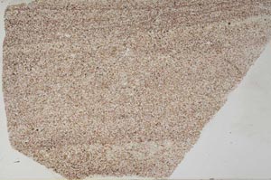 Plane Polarized, S61754