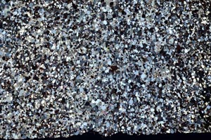 Cross Polarized, S61755