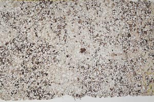 Plane Polarized, S61755