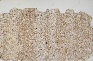 Plane Polarized, S61756