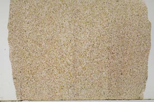 Plane Polarized, S61757/A