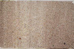 Plane Polarized, S61757