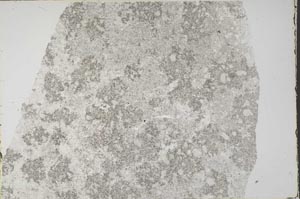 Plane Polarized, S61760