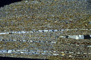 Cross Polarized, S61766