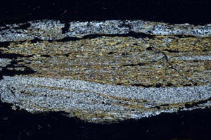 Cross Polarized, S61768