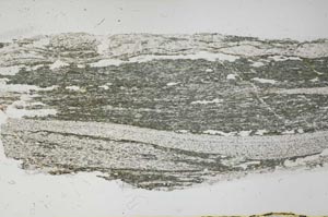 Plane Polarized, S61768