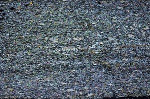 Cross Polarized, S61769