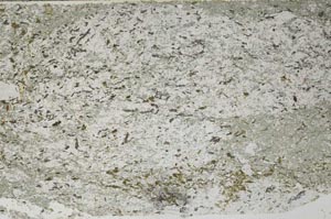 Plane Polarized, S61772