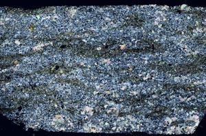 Cross Polarized, S61773