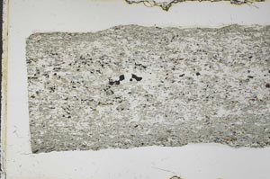 Plane Polarized, S61775