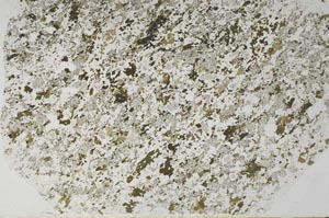 Plane Polarized, S61855