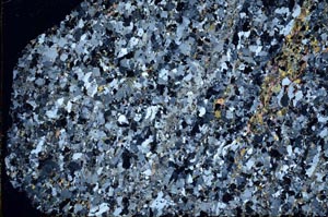 Cross Polarized, S61856