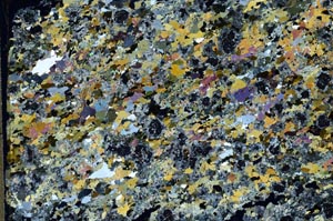 Cross Polarized, S61857