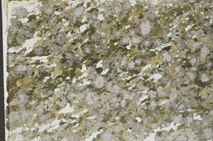 Plane Polarized, S61857