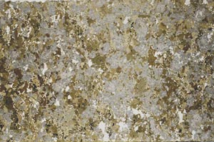 Plane Polarized, S61870