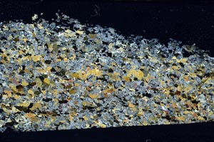 Cross Polarized, S61873