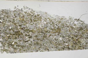 Plane Polarized, S61873