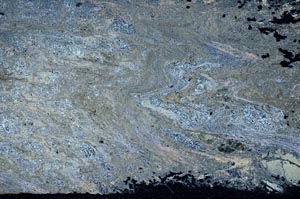 Cross Polarized, S61874