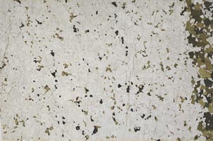 Plane Polarized, S61889/A