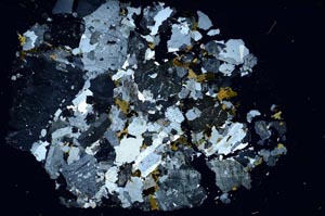 Cross Polarized, S61896