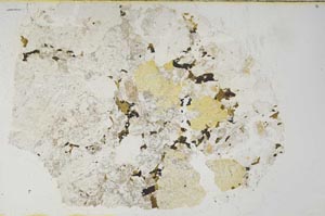 Plane Polarized, S61896