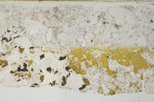 Plane Polarized, S61897