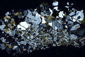 Cross Polarized, S61898