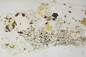 Plane Polarized, S61898