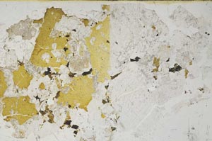 Plane Polarized, S61899