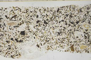 Plane Polarized, S61899/A