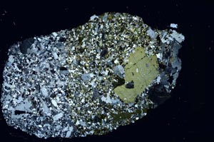 Cross Polarized, S61900