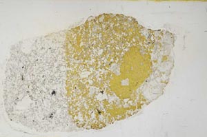 Plane Polarized, S61900