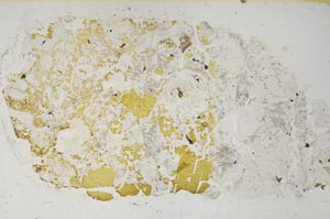 Plane Polarized, S61901