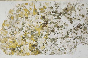 Plane Polarized, S61902