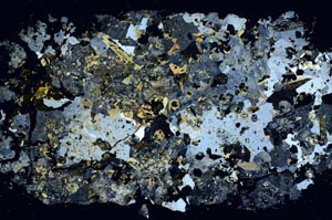 Cross Polarized, S61903