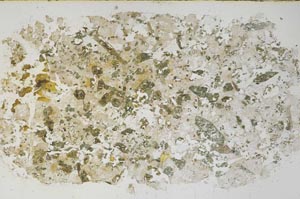 Plane Polarized, S61903