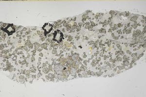 Plane Polarized, S61904/B