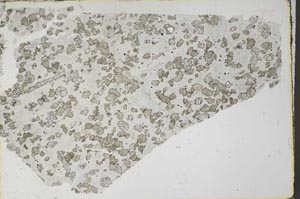 Plane Polarized, S61907