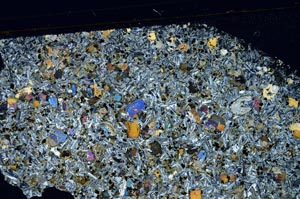 Cross Polarized, S61919