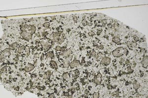 Plane Polarized, S61919