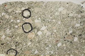 Plane Polarized, S61925