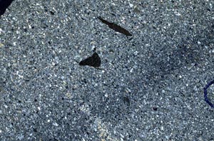 Cross Polarized, S61930