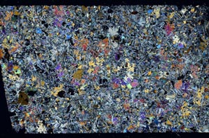 Cross Polarized, S61955